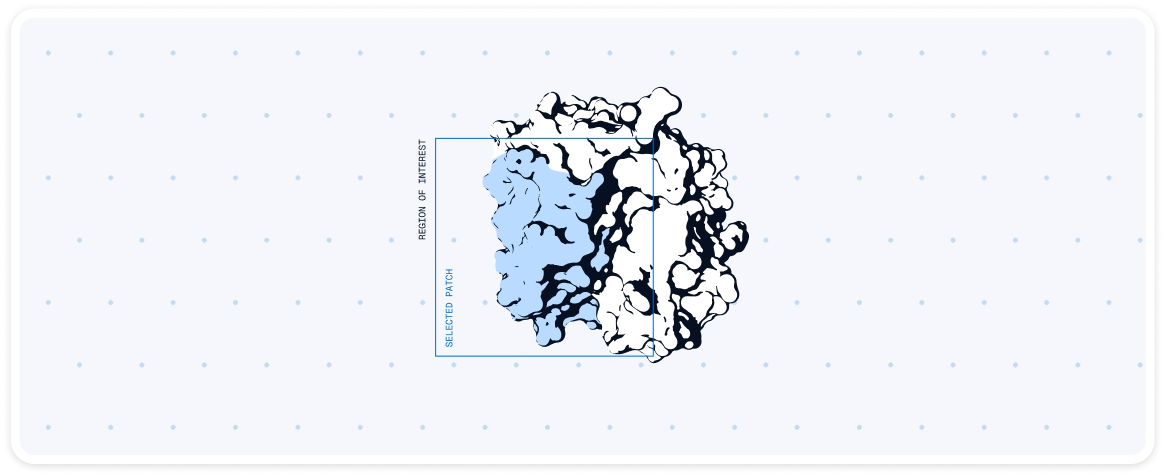 Surface Patch Selection